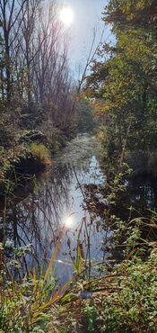 Pompveld Babylonienbroek van VVV Biesboschlinie
