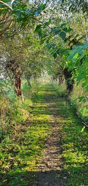 Pompveld Babylonienbroek wandelpad van VVV Biesboschlinie