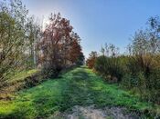 Wandelen Pompveld van VVV Biesboschlinie