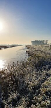 Winterzon in polder bij Waardhuizen van VVV Biesboschlinie
