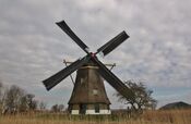Poldermolen Hank van VVV Biesboschlinie