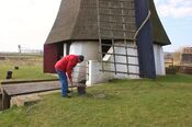 Vervoorne molen van VVV Biesboschlinie