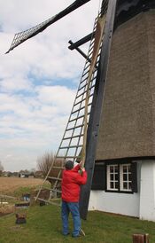 Wieken Vervoorne molen van VVV Biesboschlinie