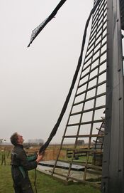 Molenaar Zandwijkse molen van VVV Biesboschlinie