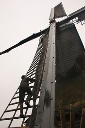 Wieken Zandwijkse molen van VVV Biesboschlinie