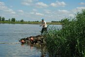 Vissen strand Woudrichem van VVV Biesboschlinie