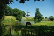 Vesting Woudrichem van VVV Biesboschlinie