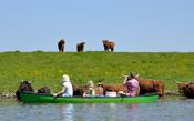 Kajakken in de Biesbosch van VVV Biesboschlinie