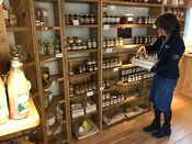 Honeybin van VVV Biesboschlinie