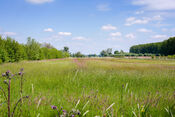 Hooiland van VVV Biesboschlinie