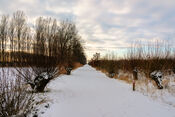 Pompveld in de sneeuw van VVV Biesboschlinie