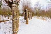 Pompveld in de sneeuw van VVV Biesboschlinie