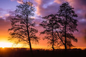 Zonsondergang elzen van VVV Biesboschlinie