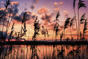 Zonsondergang waterberging van VVV Biesboschlinie