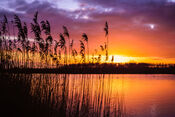 Zonsondergang waterberging van VVV Biesboschlinie