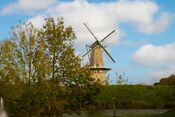 Molen in Woudrichem van VVV Biesboschlinie