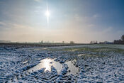 Natuurgebied van VVV Biesboschlinie