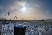 Natuurgebied van VVV Biesboschlinie