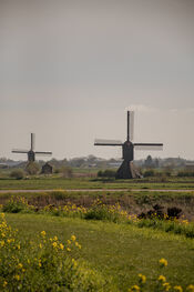 Natuur op Fort Altena van VVV Biesboschlinie