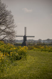 Natuur op Fort Altena van VVV Biesboschlinie