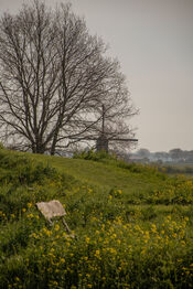 Natuur op Fort Altena van VVV Biesboschlinie