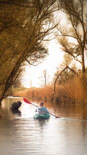Kano&euml;n in de Biesbosch van VVV Biesboschlinie