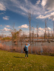 Biesbosch van VVV Biesboschlinie