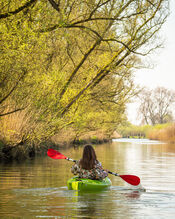 Kano&euml;n in de Biesbosch van VVV Biesboschlinie