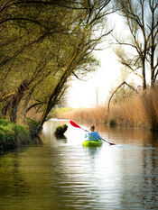 Kano&euml;n in de Biesbosch van VVV Biesboschlinie
