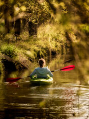 Kano&euml;n in de Biesbosch van VVV Biesboschlinie