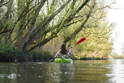 Kano&euml;n in de Biesbosch van VVV Biesboschlinie