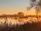 Afgedamde Maas van VVV Biesboschlinie