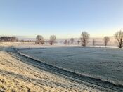 Natuur bij Wijk en Aalburg van VVV Biesboschlinie