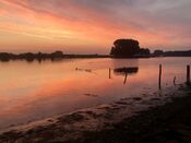 Afgedamde Maas van VVV Biesboschlinie