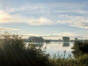 Afgedamde Maas van VVV Biesboschlinie