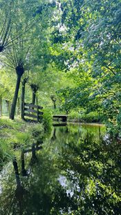 Duyls Bos van VVV Biesboschlinie