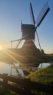 Noordeveldse molen in Kornse Boezem van VVV Biesboschlinie