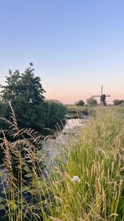 Noordeveldse molen in Kornse Boezem van VVV Biesboschlinie