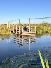 Trekpontje Babyloni&euml;nbroek van VVV Biesboschlinie