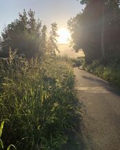 Langs de Wijde Alm van VVV Biesboschlinie