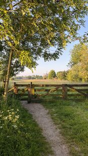 Natuur bij molen de Twee Gebroeders van VVV Biesboschlinie