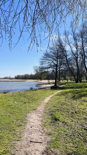 Wandelen op de Groesplaat van VVV Biesboschlinie