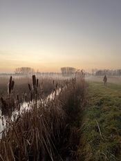 Pompveld Andel van VVV Biesboschlinie