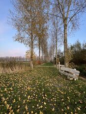 Pompveld Andel van VVV Biesboschlinie