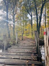 Pompveld Andel van VVV Biesboschlinie