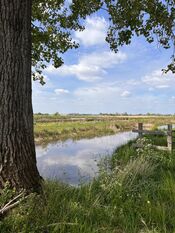 Pompveld Andel van VVV Biesboschlinie