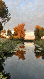 Natuur bij Fort Bakkerskil van VVV Biesboschlinie