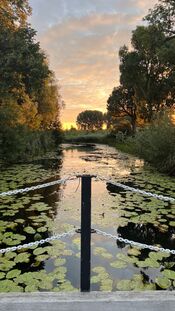 Natuur bij Fort Bakkerskil van VVV Biesboschlinie