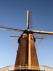 Molen De Hoop van VVV Biesboschlinie