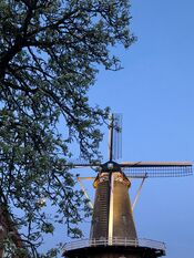 Molen De Hoop van VVV Biesboschlinie